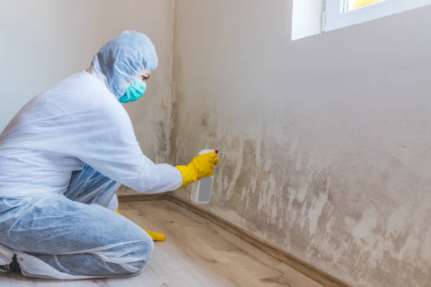 Commercial Mold Remediation assessment for commercial property in Lexington Park